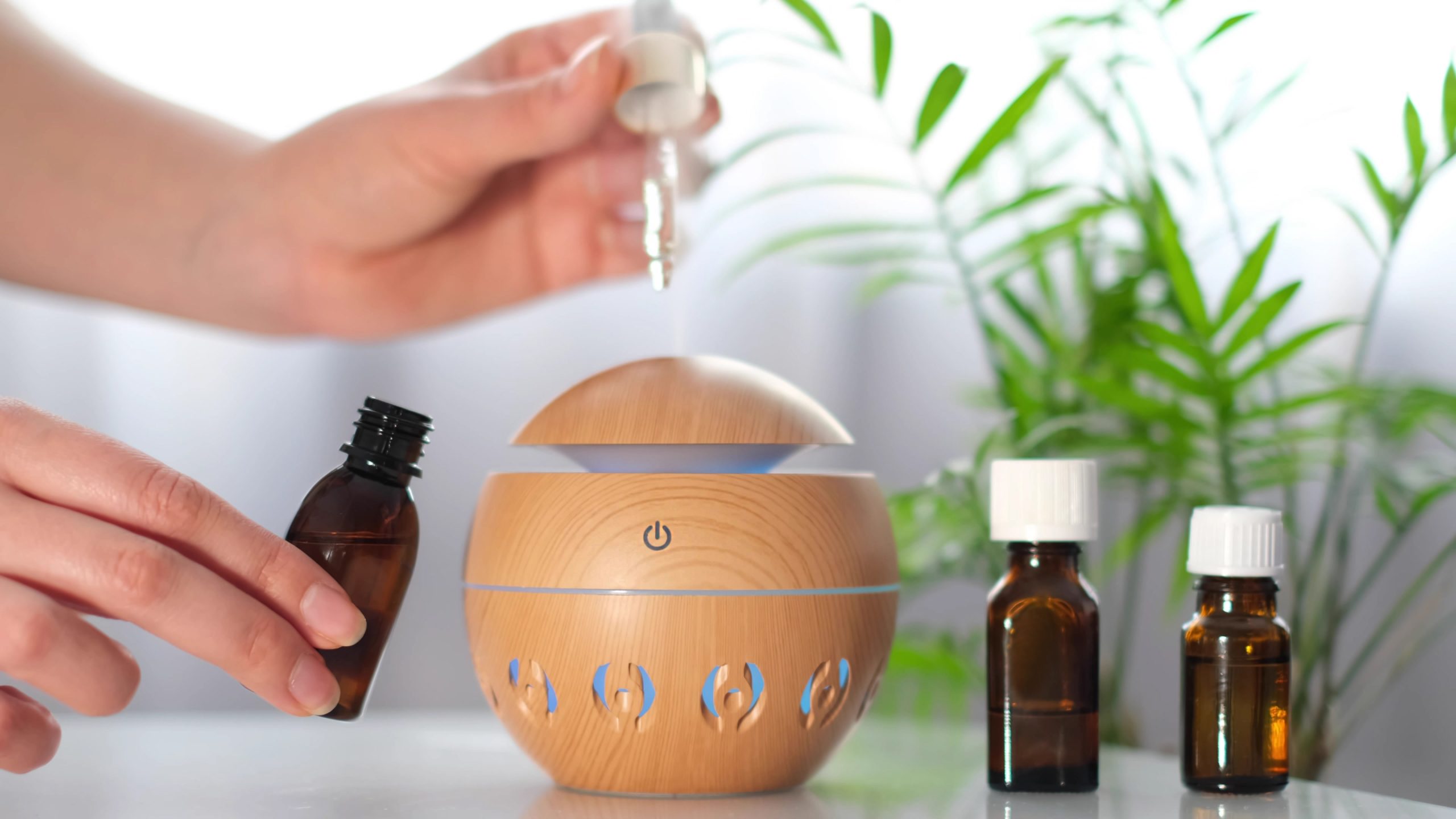 Fragrance Oils for Diffusers: Everything You Need to Know