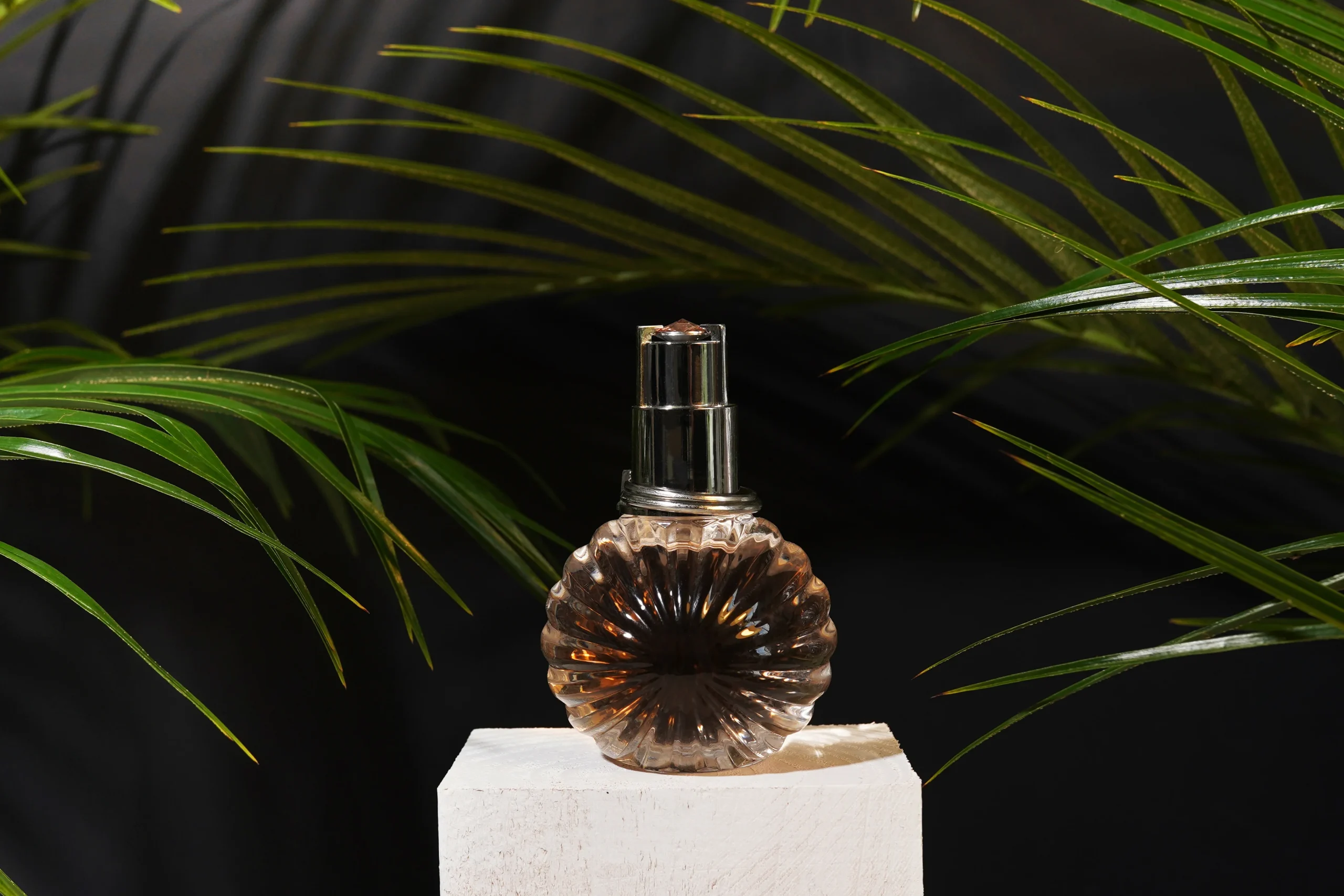 Visual guide explaining addictive scent layers of fougere fragrances
