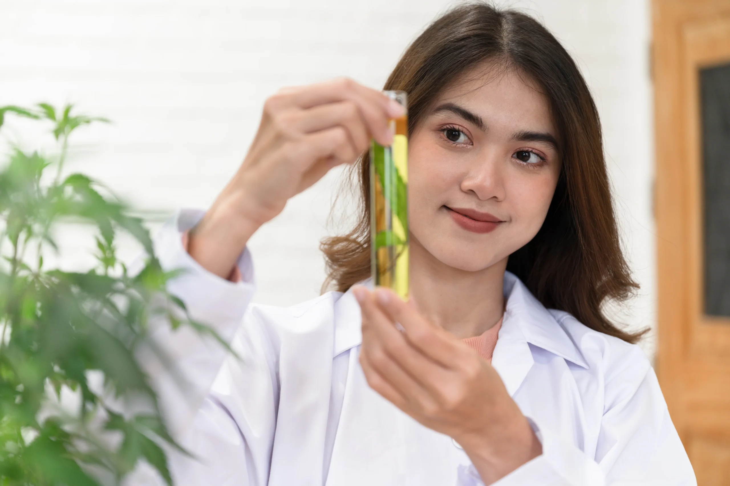 Natural hair loss serum to fight thinning and shedding